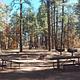 Group picnic area.