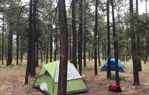 Sleeps 6 | Lightweight | Camping or Temporary Stay