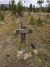 Hog Park Water Spigot