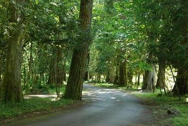 Tower Rock Campground