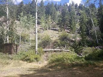 Dawson Cabin, Loop: DAWSON CABIN