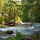 North Fork Beaver Group Camp