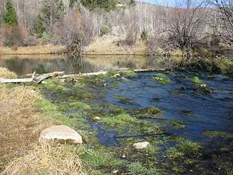 DAVIS CANYON CAMPGROUND