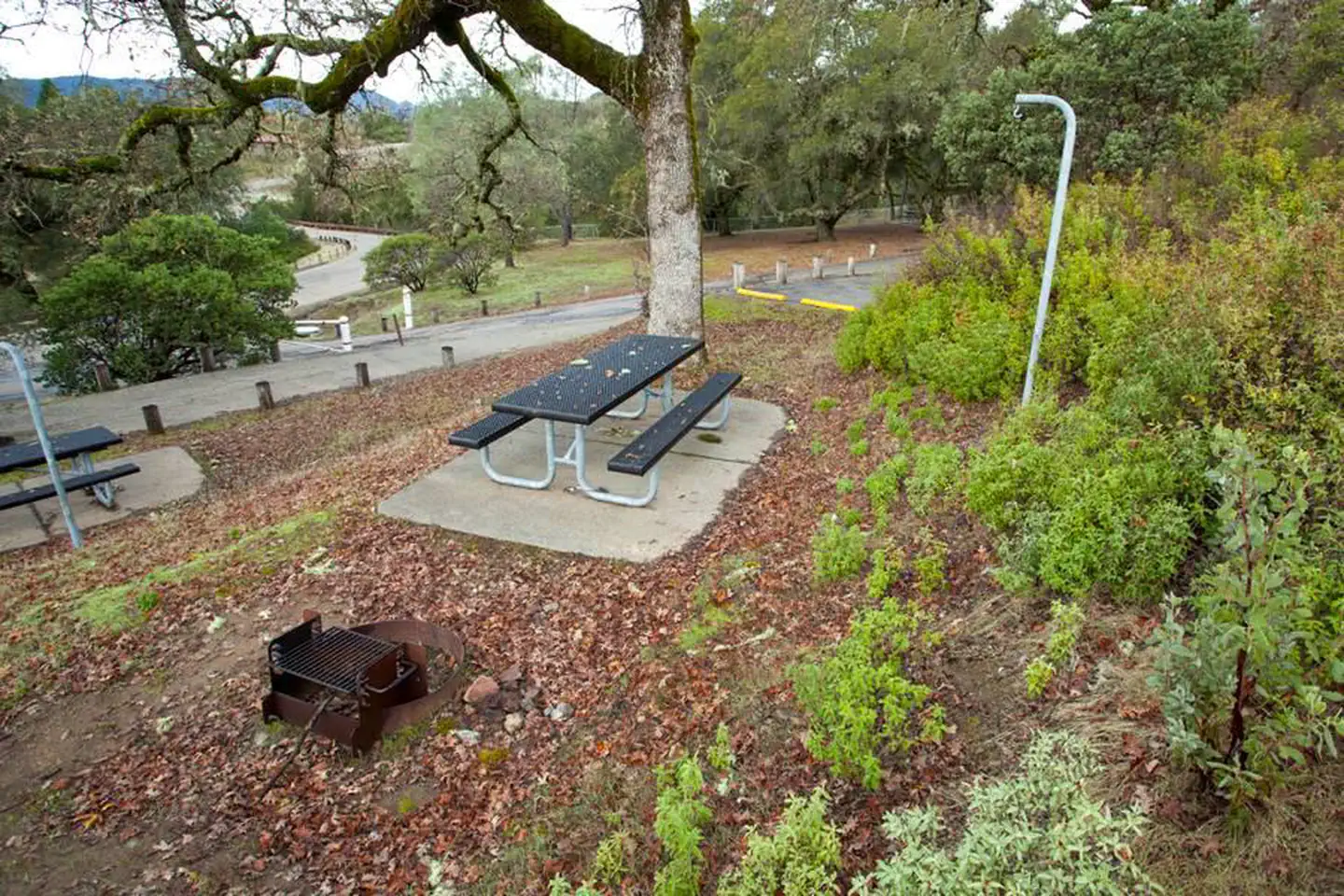 Liberty Glen (Lake Sonoma)