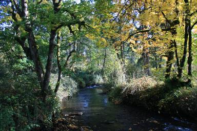 Roaring River County Park