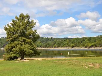 Cricket Creek