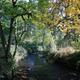 Roaring River County Park