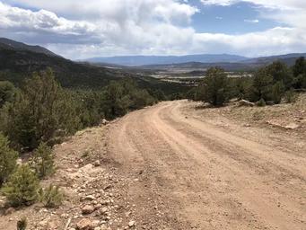 The Bank Road