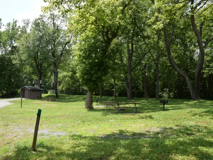 Fifteen Mile Creek Campsite