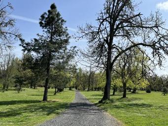 Jasper State Recreation Site