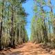 Campspot slideshow image 3