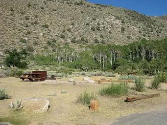 A campsite with a picnic table and bear box in a desert campground