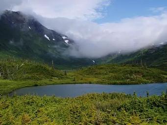 UPPER PARADISE LAKE CABIN2