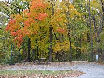 Lithia Springs Campground Fall Colors
