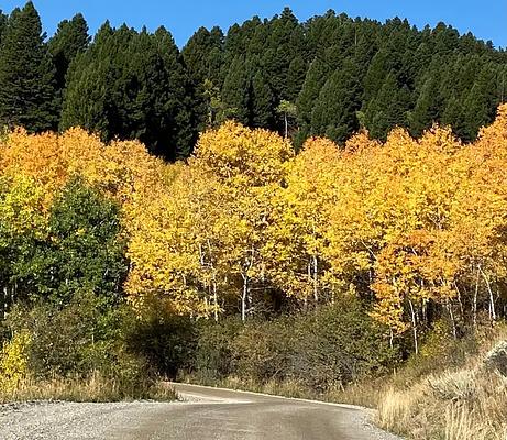001, Loop: AREA TRAIL CREEK CABIN