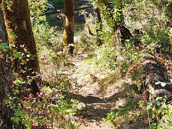 Boulder Creek Campground, trail to South Umpqua River