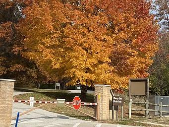 Cherry Glen Picnic Area