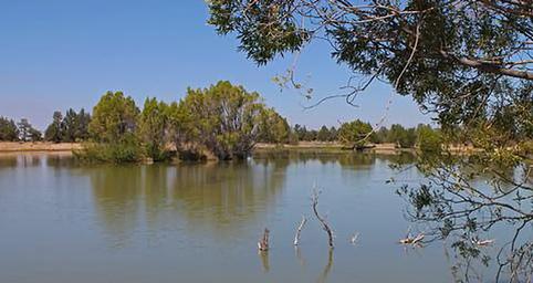Reynolds Pond Recreation Site