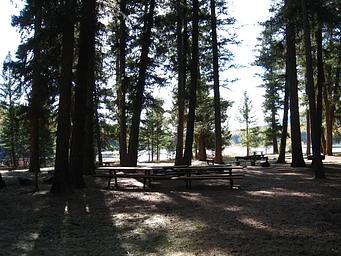 01, Loop: AREA LOST LAKE GROUP UNIT