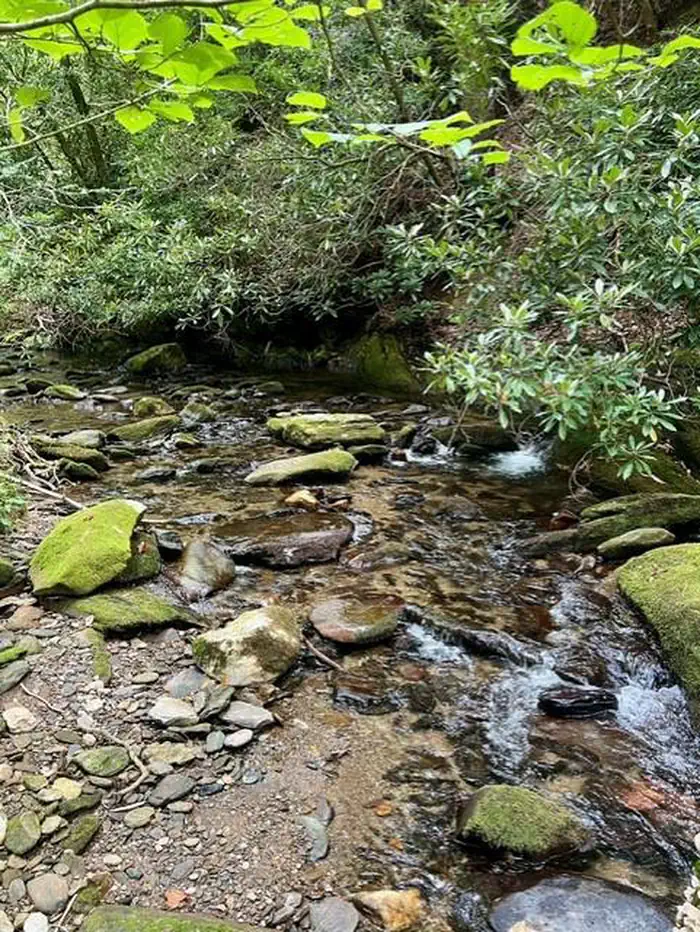 Basin Cove Backcountry Camping