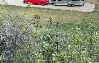2019 Airstream RV Flying Cloud 25 Twin RV rental photo 1
