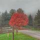 KELLETTVILLE RECREATION AREA (PA)