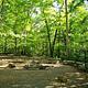 BADIN LAKE GROUP CAMP