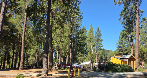 Camp Growlersburg