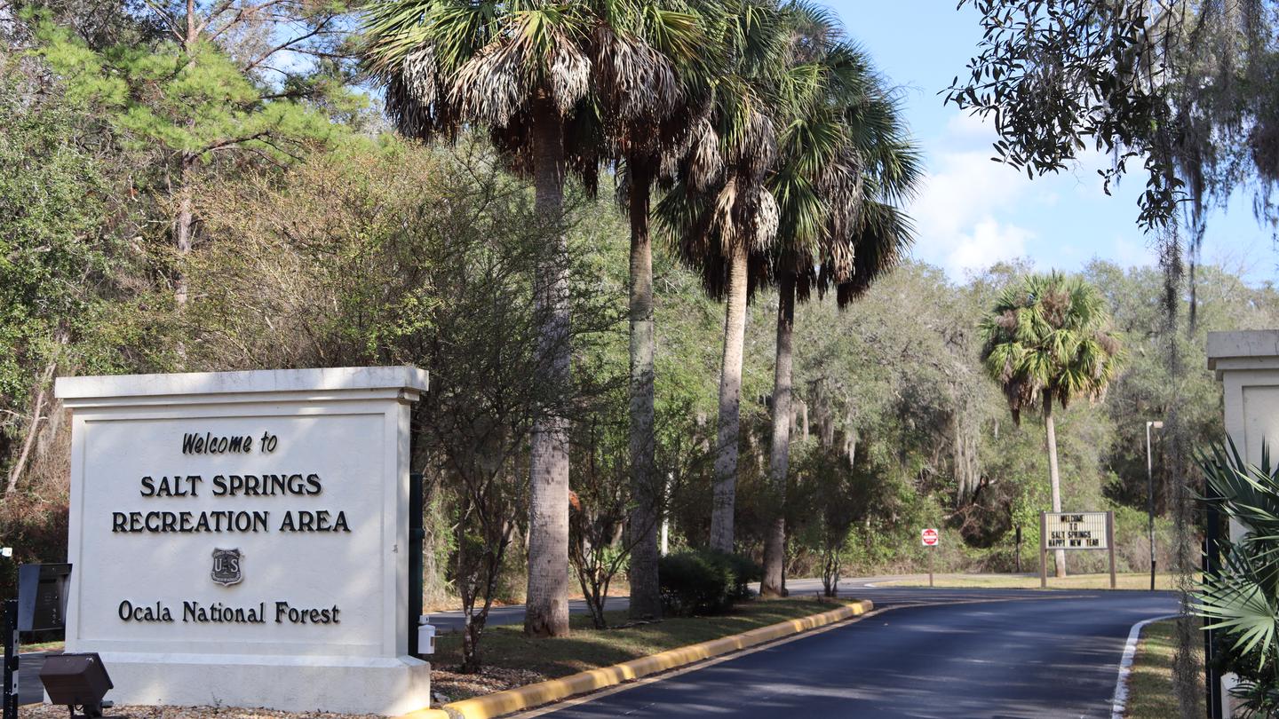 Salt Springs Recreation Area