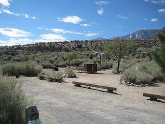 Lone Pine