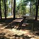 Campsite #6