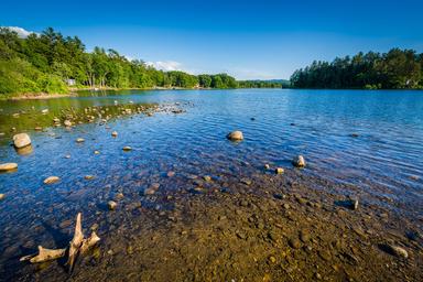 Shoreline close-up with clear shallow water and treed opposite shore — useful scenic photo demonstrating the lake’s water quality and immediate lakeside environment from the property Map page.
