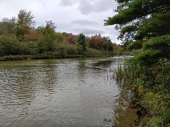 Group salmon fishing in the Platte River