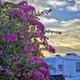 A rv is parked next to a tree with purple flowers.