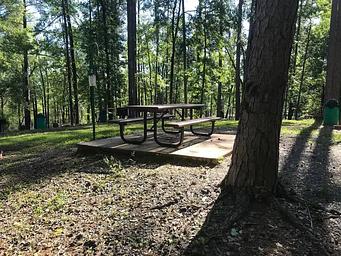 Campsite #2