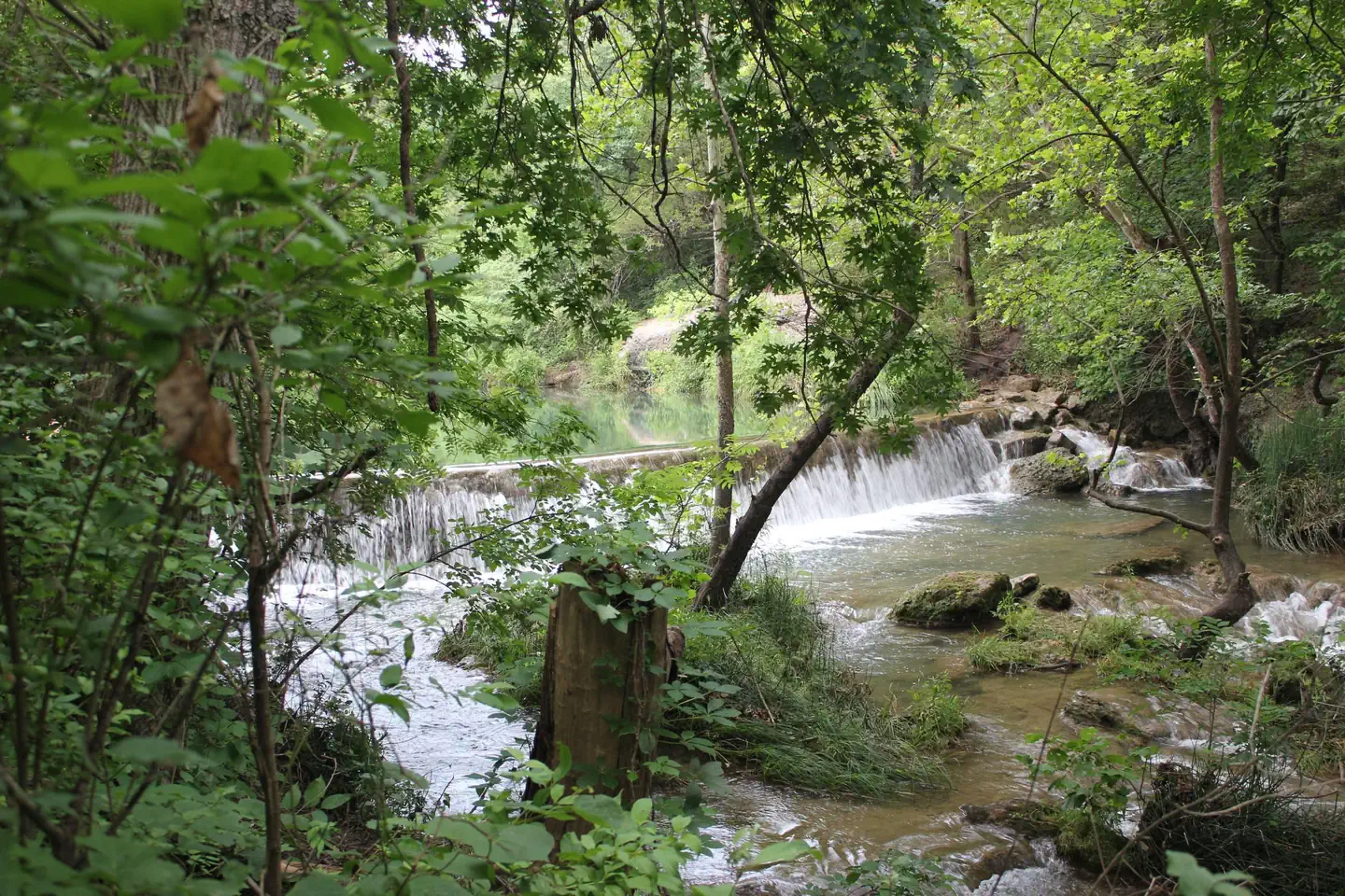 Cold Springs Campground (Chickasaw)