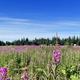 Campspot slideshow image 1