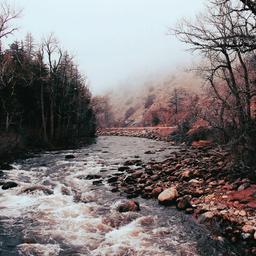 CanyonSide Campground