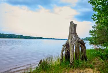 Thousand Trails Chesapeake Bay
