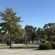 Cypress Creek RV Park