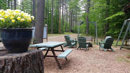 Tree Farm Campground