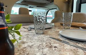 Your Home on Wheels! Furry friend approved!