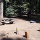 Upper Billy campsite located mostly in the sun but surrounded by a pine forest. The site include a picnic table and campfire pit.