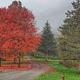 KELLETTVILLE RECREATION AREA (PA)-