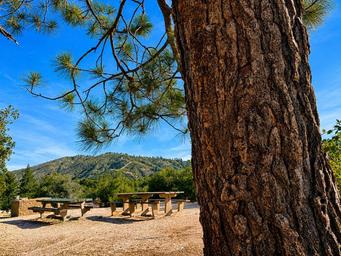 Coulter Group Campground