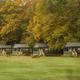 Wide daytime banner-style photo showing a row of resort cabins on mowed grounds with large trees behind — good overall view of the cabin area (source: site banner image on homepage).