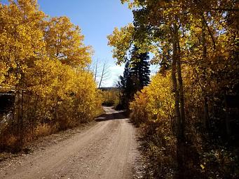 Tie City Campground (WY)