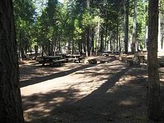 SOUTH FORK GROUP (CA)
