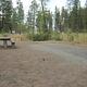 Kettle Falls Campground with trees and bushes in the background.