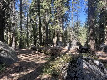 1, Loop: AREA SILVER CREEK GROUP CAMPGROUND